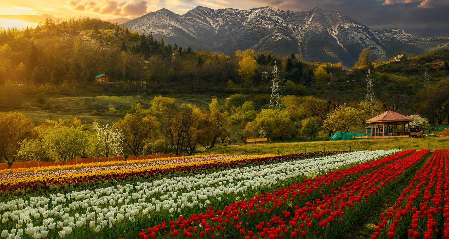 Day 8 — Mughal Garden, Srinagar